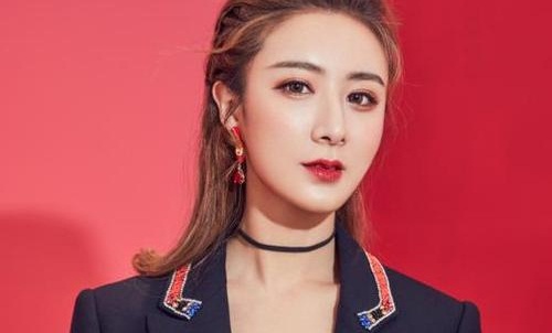 薇娅老公丁海峰身价如何两人怎么认识的(薇娅老公丁海峰旗下艺人有哪些)