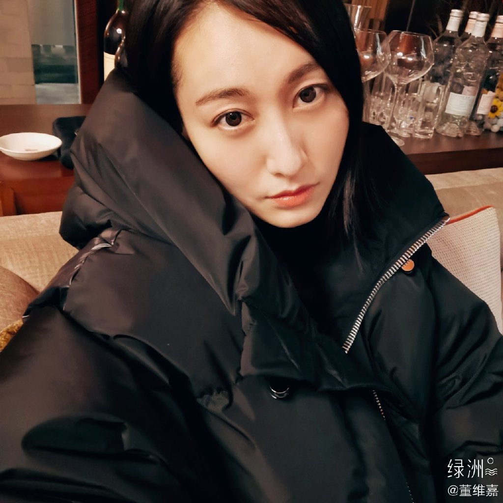 董维嘉哪年出生的多大了(董维嘉年龄多大 真实)