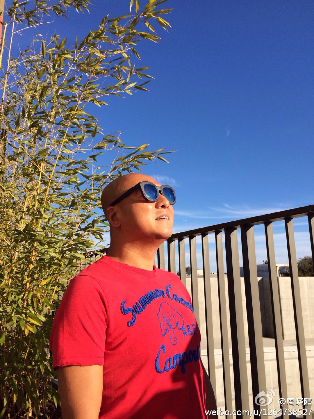 歌手周晓鸥入狱原因(周晓鸥为什么不唱歌了) 歌手周晓鸥入狱原因(周晓鸥为什么不唱歌了)