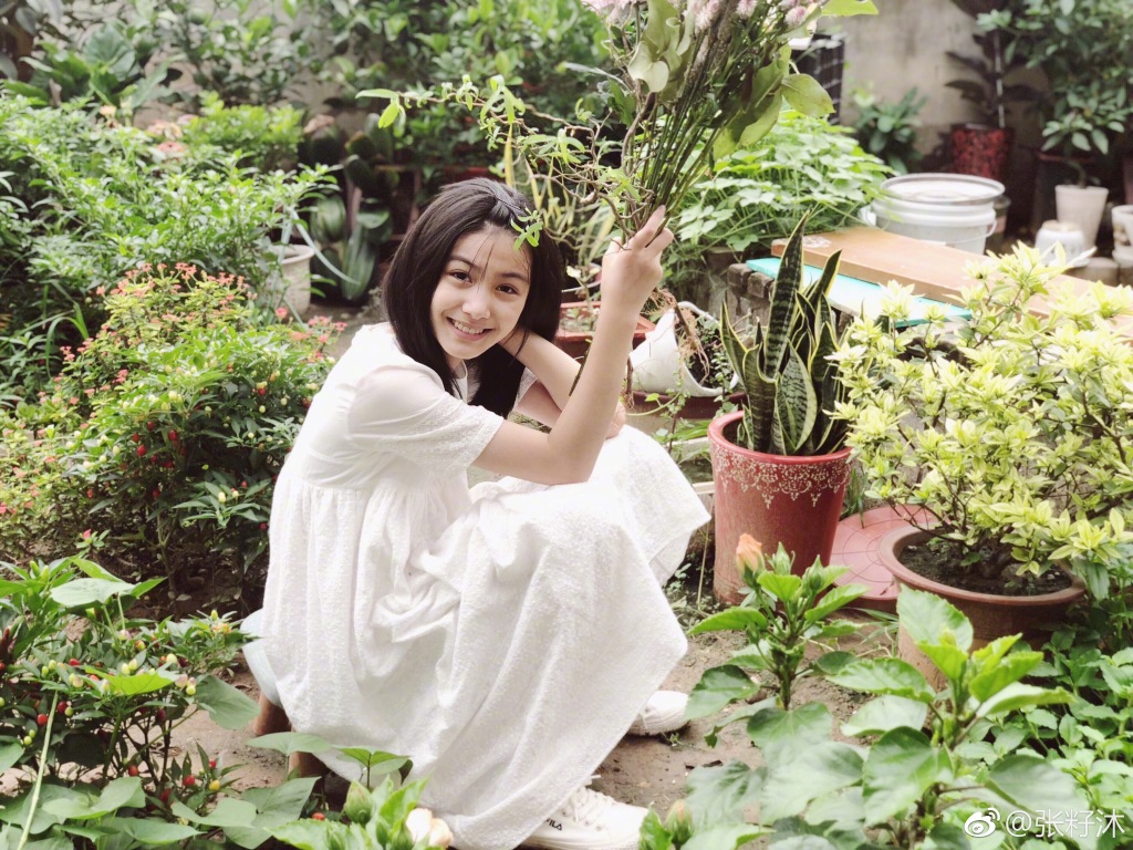 张籽沐长残了没有以前好看了(张籽沐颜值)