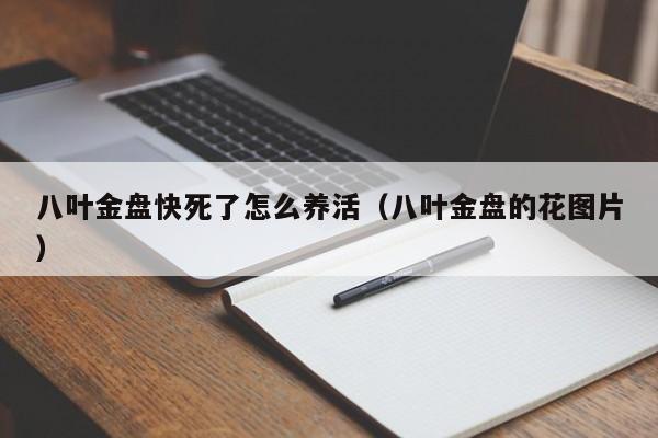八叶金盘快死了怎么养活(八叶金盘的花图片)