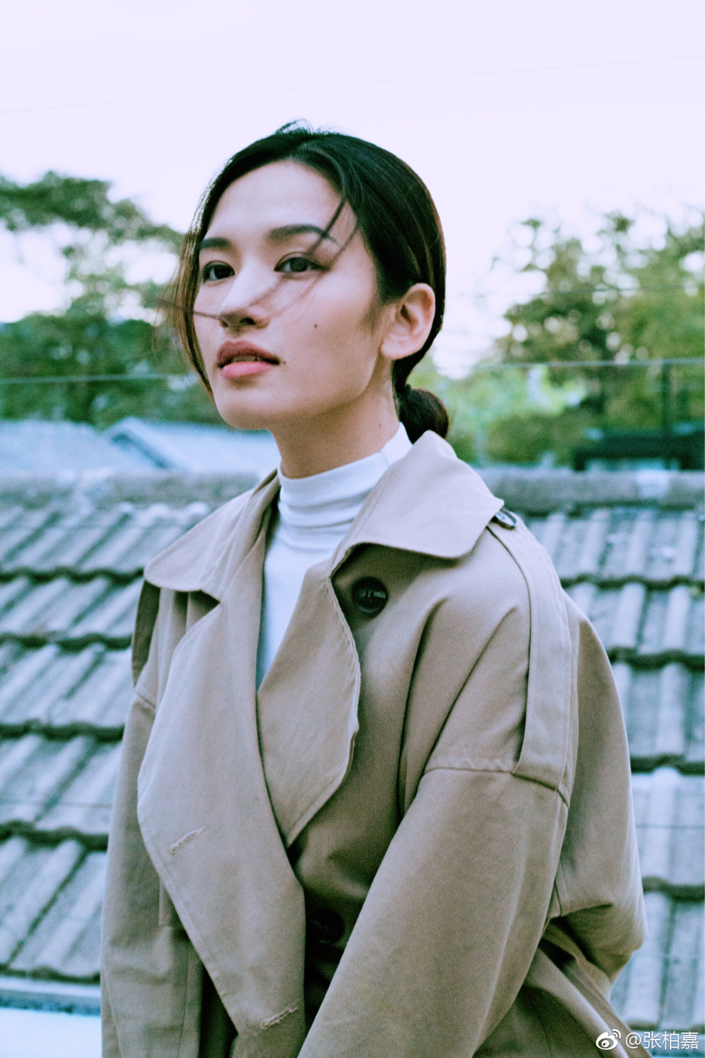 张柏嘉好像是变性人但不是人妖