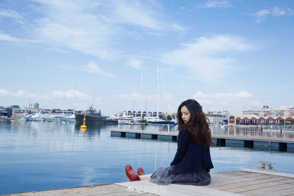 刘美麟为什么不火(刘美麟现在做什么)