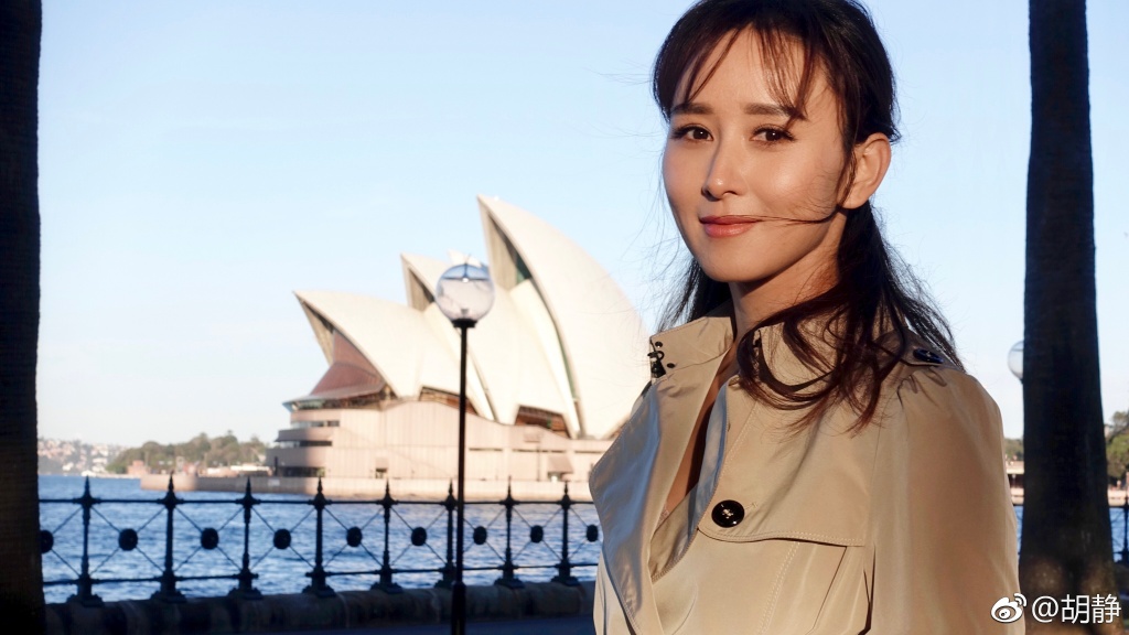 胡静的闺蜜mt是梅婷吗(梁静的闺蜜)