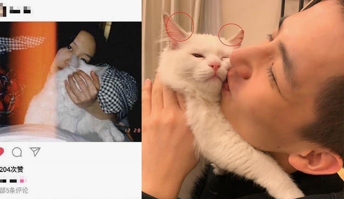 向涵之王安宇怎么在一起的因戏生情真的(向涵之王安宇一起演过什么)