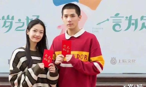 向涵之王安宇怎么在一起的因戏生情真的(向涵之王安宇一起演过什么)