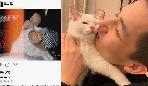 向涵之王安宇怎么在一起的因戏生情真的(向涵之王安宇一起演过什么)