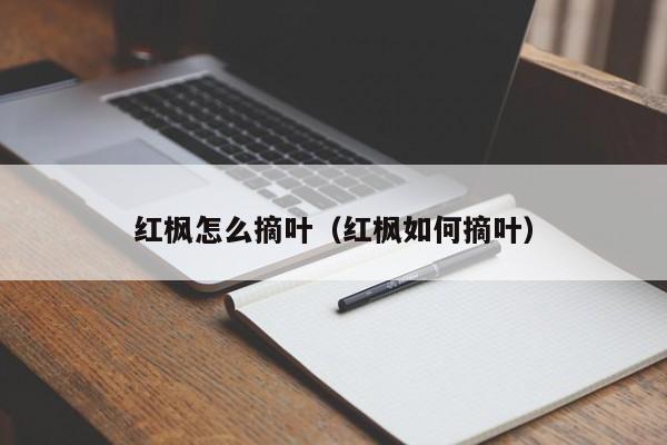 红枫怎么摘叶(红枫如何摘叶)