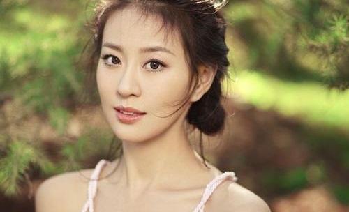 王乐君伪装者后为什么不火(伪装者的演员王乐君演技)