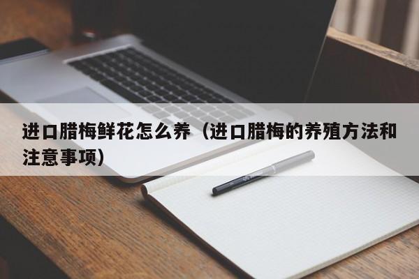 进口腊梅鲜花怎么养（进口腊梅的养殖方法和注意事项） 