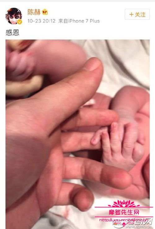 陈赫为什么和许婧离婚？陈赫和张子萱庆祝女(陈赫爱许婧还是张子萱)