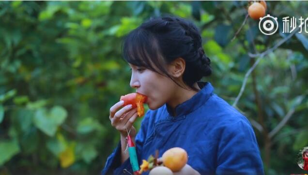 为什么说李子柒有1个亿？李子柒怎么盈利赚