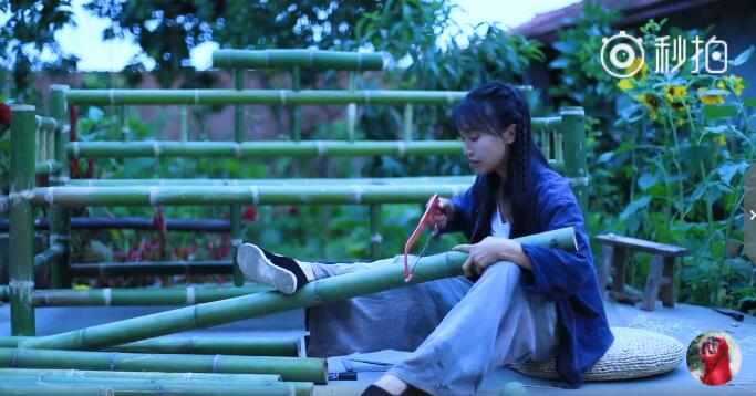 为什么说李子柒有1个亿？李子柒怎么盈利赚