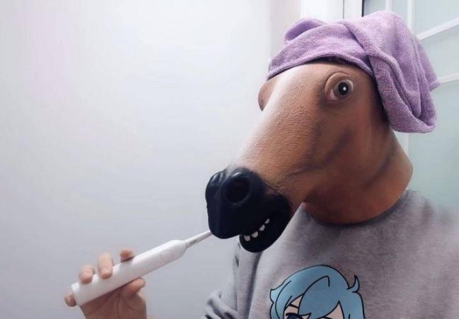 某幻君为什么叫马鸽(某幻君小马)