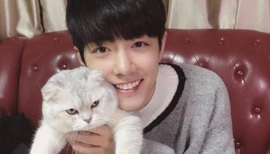 肖战为什么被黑原因曝光引热议(肖战怎么了为什么那么多人黑他)