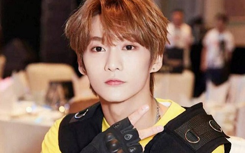 艺人黄智博被批捕事件详情(黄智博被提起公诉)