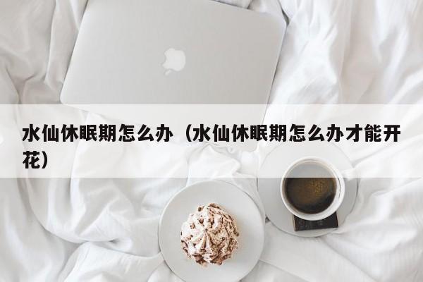 水仙休眠期怎么办（水仙休眠期怎么办才能开花） 