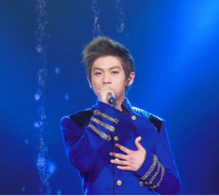 武艺和武星是亲兄弟吗？武艺上快乐男声是哪(武艺是歌手吗)