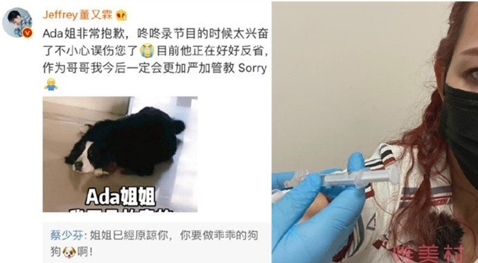 董又霖为狗狗咬伤蔡少芬道歉