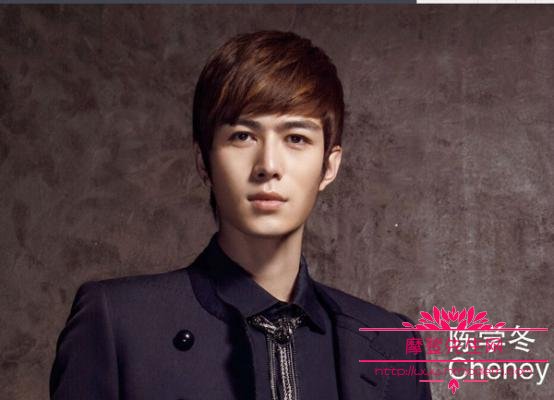 陈学冬雪宝的称号由来