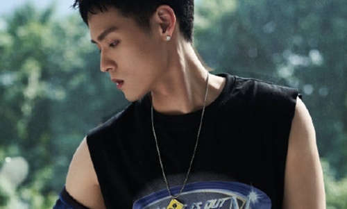 董又霖为狗狗咬伤蔡少芬道歉