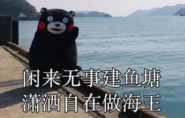 海王是什么意思(海王是什么意思网络用语女生)