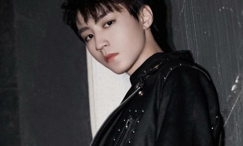 王俊凯单曲封面设计师否认抄袭(有何不可改编的写王俊凯的歌)