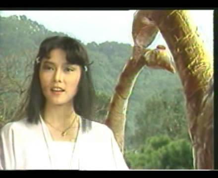 官晶华年轻时候的照片组图(官晶华近照)