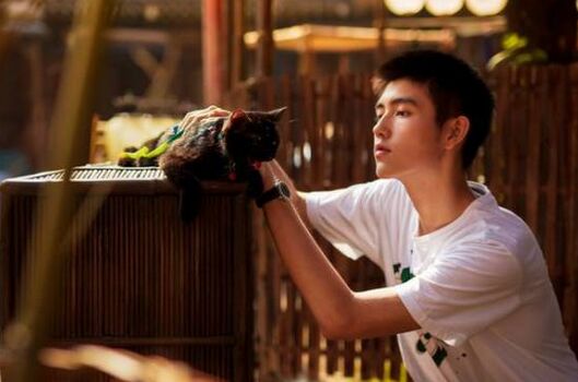 陈飞宇家世背景揭秘(陈飞宇个人资料简介及家世) 陈飞宇家世背景揭秘(陈飞宇个人资料简介及家世)