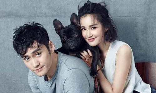 张歆艺极限挑战穿的衣服什么牌子?极限挑战 张歆艺极限挑战穿的衣服什么牌子?极限挑战