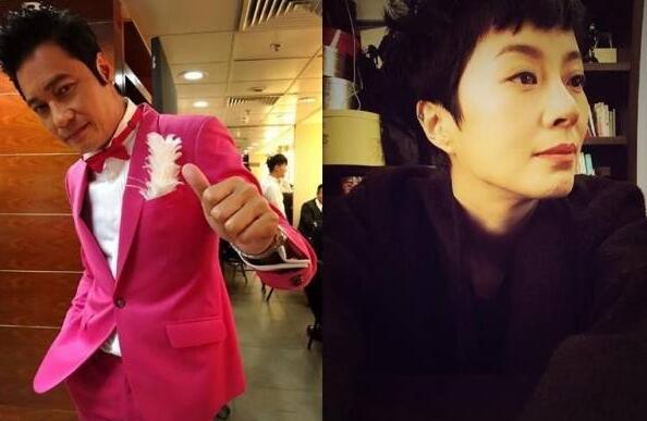 罗嘉良怎么看上苏岩(罗嘉良老婆苏岩家境)