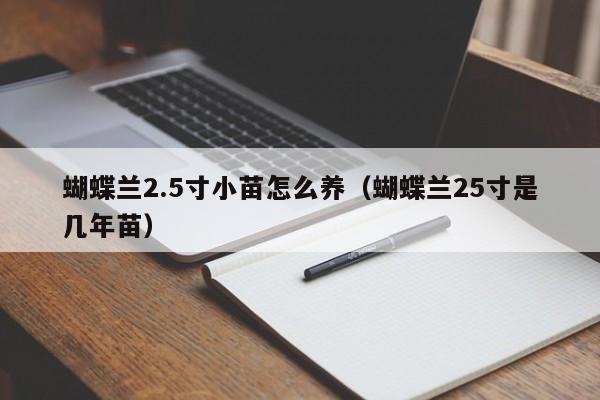 蝴蝶兰2.5寸小苗怎么养（蝴蝶兰25寸是几年苗） 