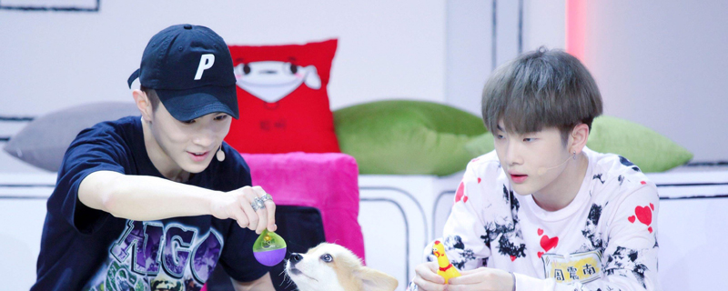 孔雪儿马伯骞怎么了被爆插足真的吗(孔雪儿马伯骞澄清了吗)