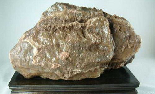 鬼吹灯之牧野诡事里胡天跟胡八一什么关系?(鬼吹灯中胡八一) 鬼吹灯之牧野诡事里胡天跟胡八一什么关系?(鬼吹灯中胡八一)