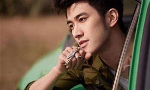 李治廷王力宏像双胞胎什么关系(王力宏和李治廷好像)