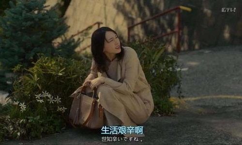 社畜青年和斜杠青年是什么意思(斜杠青年指的是( )