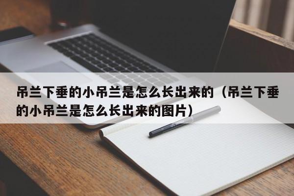 吊兰下垂的小吊兰是怎么长出来的（吊兰下垂的小吊兰是怎么长出来的图片） 