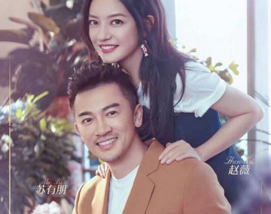 苏有朋为什么不结婚(苏有朋为什么不结婚媒体采访视频) 苏有朋为什么不结婚(苏有朋为什么不结婚媒体采访视频)