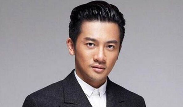 苏有朋为什么不结婚(苏有朋为什么不结婚媒体采访视频)