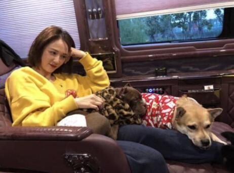 男友晒陈乔恩近照满脸幸福(陈乔恩晒美照)