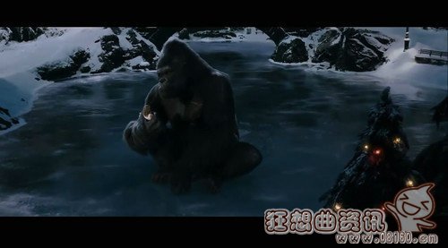 世界第二辣鸟眼辣椒长得小(鸟眼椒辣度)