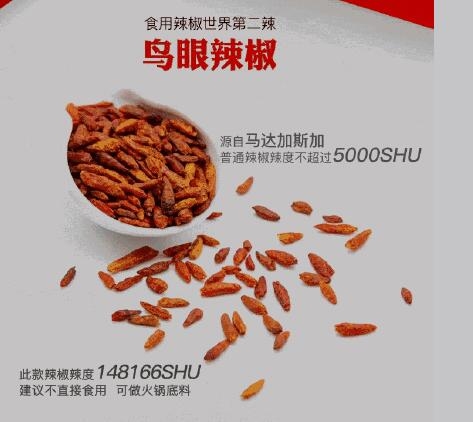 世界第二辣鸟眼辣椒长得小(鸟眼椒辣度)