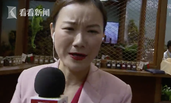 世界第二辣鸟眼辣椒长得小(鸟眼椒辣度)