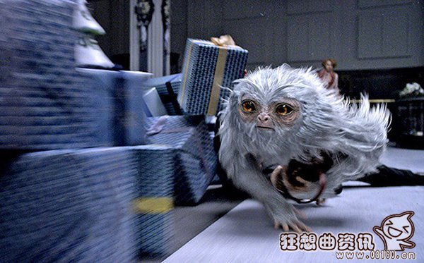 神奇动物在哪里是谁导演的电影?神奇动物在(神奇动物在哪里的主演是谁?) 神奇动物在哪里是谁导演的电影?神奇动物在(神奇动物在哪里的主演是谁?)