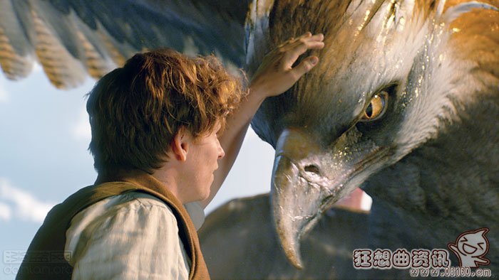 神奇动物在哪里是谁导演的电影?神奇动物在(神奇动物在哪里的主演是谁?) 神奇动物在哪里是谁导演的电影?神奇动物在(神奇动物在哪里的主演是谁?)