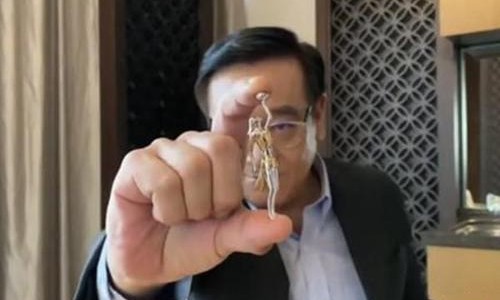 尔冬升年轻时候好帅照片(尔冬升有多帅)