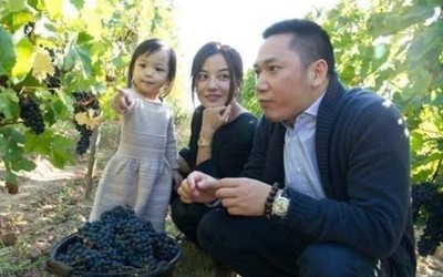 黄有龙身价多少亿元?黄有龙怎么追到赵薇的