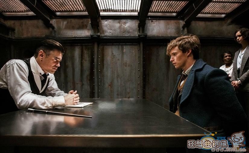 神奇动物在哪里是谁导演的电影?神奇动物在(神奇动物在哪里的主演是谁?)