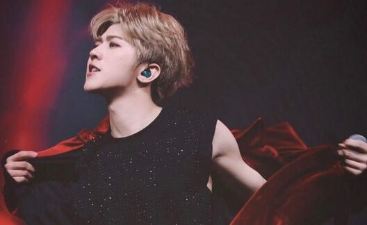 蔡徐坤为什么这么火(蔡徐坤因为什么火的)