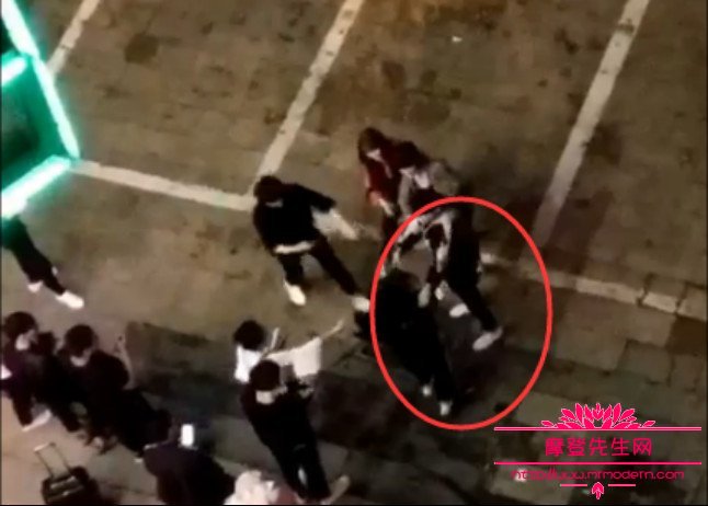 王乐乐杨清柠怎么回事分手原因(杨清柠表白王乐乐疑似想要复合)